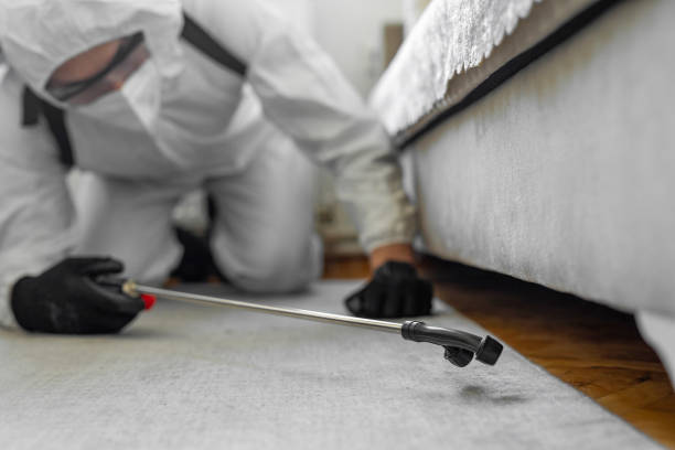 Professional Cockroach Control technician working in Williston Park, NY